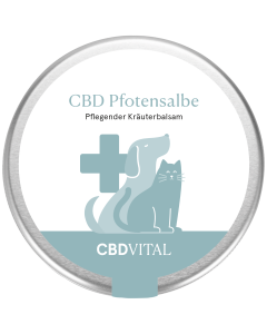 CBD Pfotensalbe