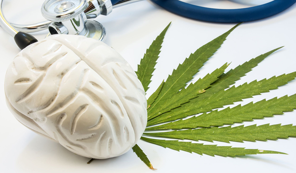 Nervenschutz mit CBD