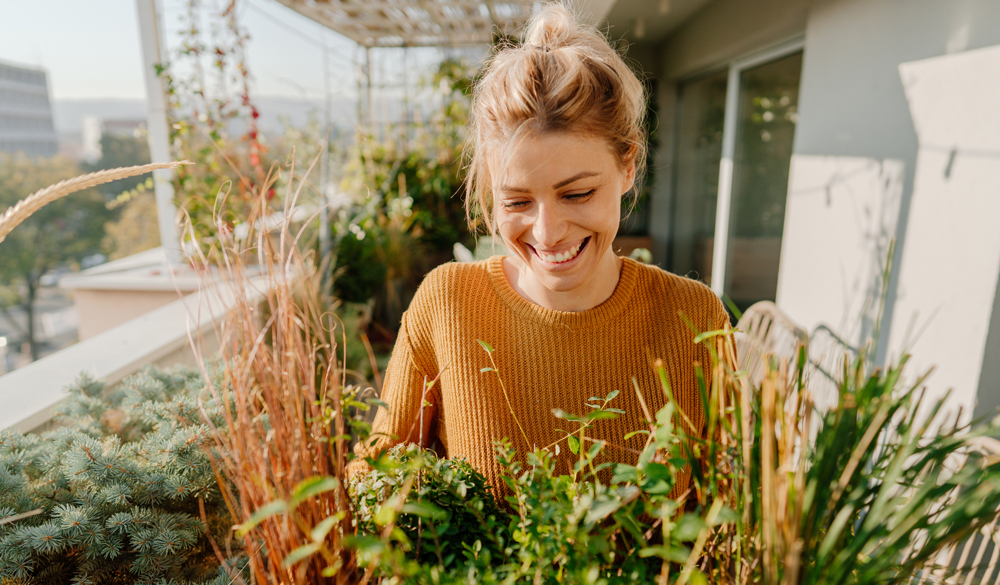 CBD bei Heuschnupfen – Wirkung und Anwendung