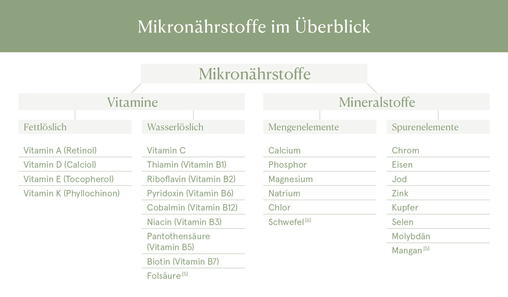 Mikronährstoffe im Überblick