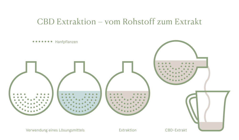CBD Extraktion - vom Rohstoff zum Extrakt