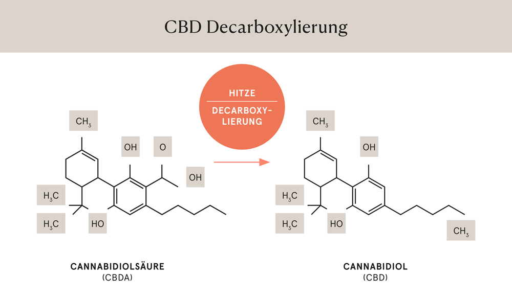 Grafik: Decarboxylierung - Umwandlung von CBDA in CBD