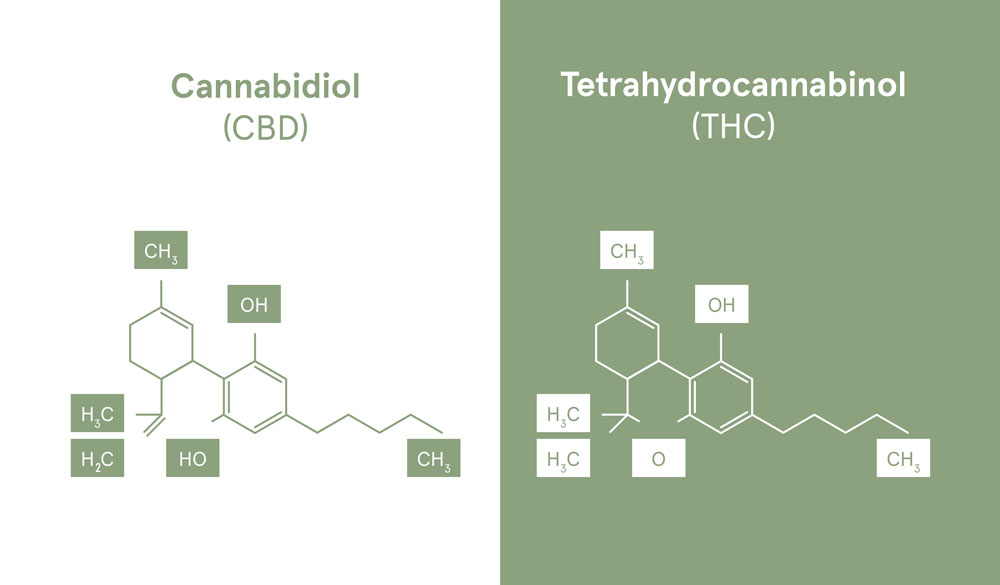 Unterschied chemische Struktur CBD THC
