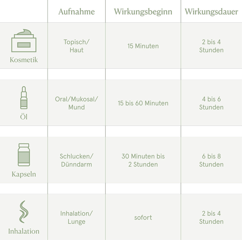 Wie lange und wie schnell wirkt CBD