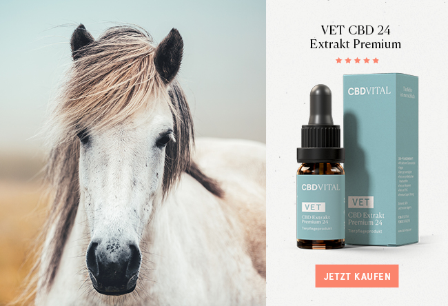 CBD Öl 24% für Tiere CBD Öl 24% für Tiere